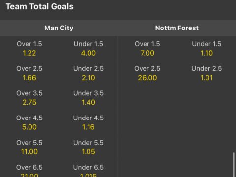 Man City v Nottingham Forest, Asian totals at bet365